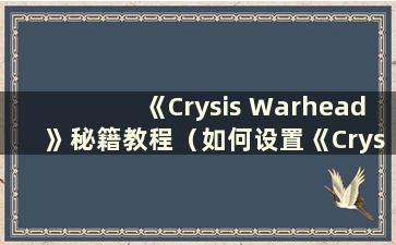 《Crysis Warhead》秘籍教程（如何设置《Crysis Warhead》中文版）